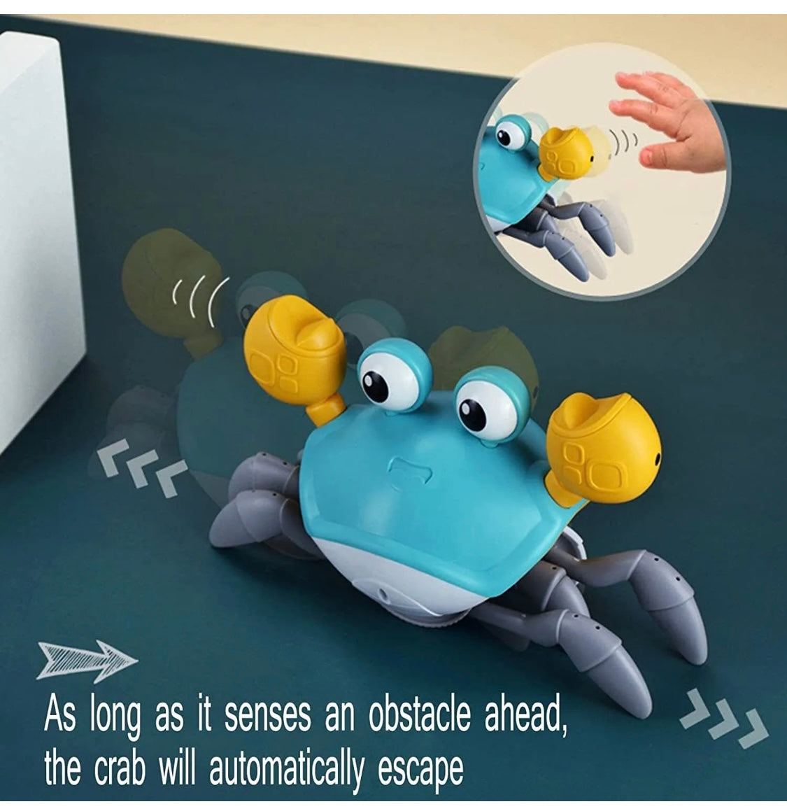 Crawling Crab Musical Toy